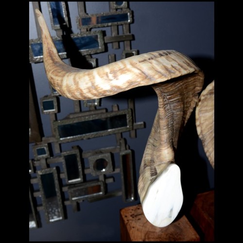 Objets Décoratifs PC - Bélier - Cornes naturelles - Pacific Compagnie.