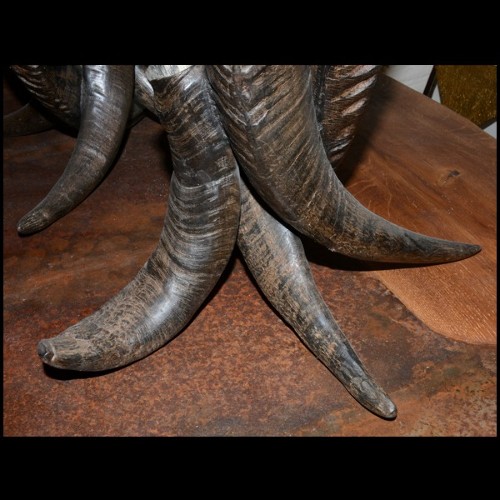 Vase PC - Vase Horns - Corne buffle - Pacific Compagnie.