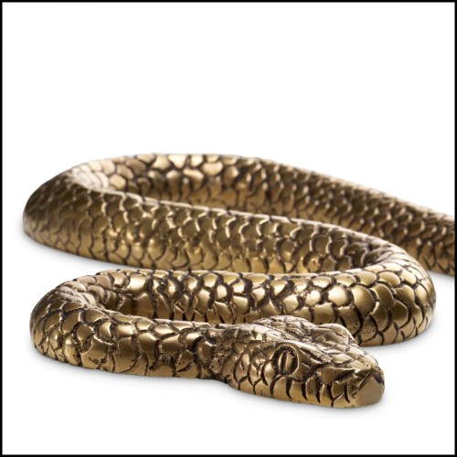 Close up 24-snake