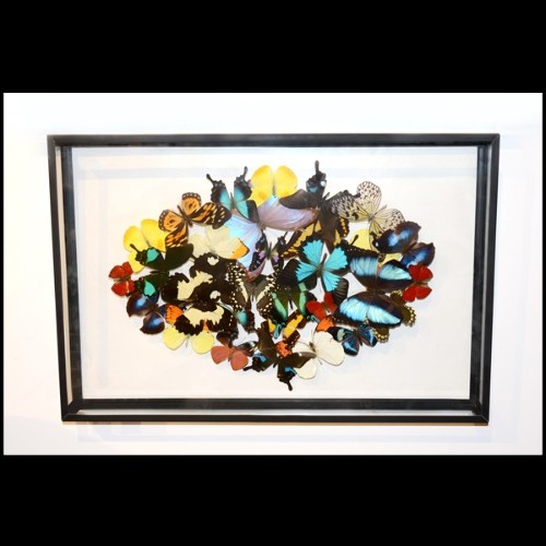Déco PC - Butterflies Multicolors | Wall Decoration PC- Butterflies Multicolors - Vibrant butterfly decor for living room - Paci