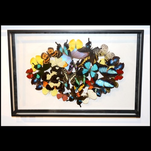 Déco PC - Butterflies Multicolors | Wall Decoration PC- Butterflies Multicolors - Multicolor butterfly wallpaper alternative - P