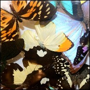 Déco PC - Butterflies Multicolors - Décoration mur papillons - Pacific Compagnie.