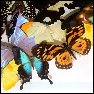 Déco PC - Butterflies Multicolors - Déco murale design - Pacific Compagnie.