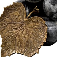 Objet 24 - Raisins Vintage - Intérieur - Pacific Compagnie.