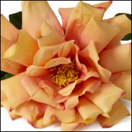 Bouquet 24 - Roses pour intérieur - Pacific Compagnie.