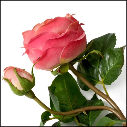 Bouquet 24 - Roses real touch variées - Pacific Compagnie.