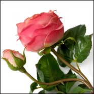 Bouquet 24 - Roses real touch variées - Pacific Compagnie.