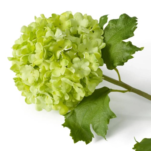 Bouquet 24 - Hydrangeas S - Hydrangeas décoratifs - Pacific Compagnie.