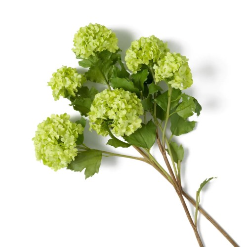 Bouquet 24 - Hydrangeas S | Bouquet Eichholtz - Hydrangeas - Bouquet Eichholtz - Pacific Compagnie.