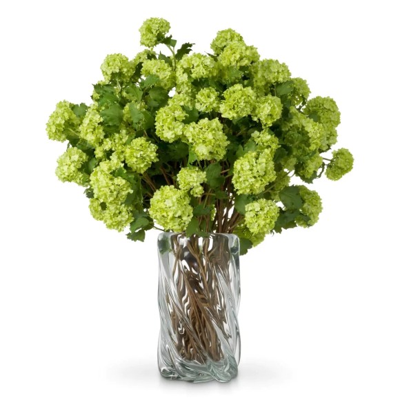 Bouquet 24 - Hydrangeas S - Hydrangeas Eichholtz S - Ambiance - Pacific Compagnie.