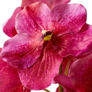 Bouquet 24 - Orchidée - Déco fushia - Pacific Compagnie.