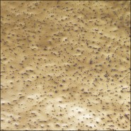 119319 | Console en laiton vieilli 140 cm - Pacific Compagnie.