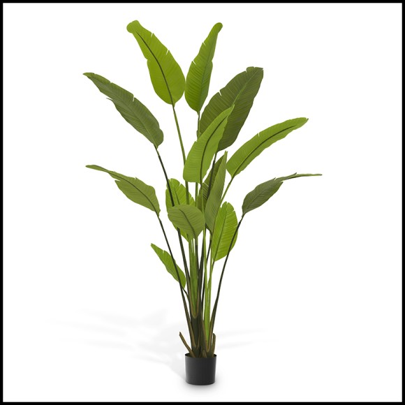 Plante artificielle 24 - Strelitzia - Artificial Strelitzia plant in green tones - Pacific Compagnie.