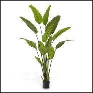 Plante artificielle 24 - Strelitzia - Plante artificielle en tons verts, matériau ciment et plastique - Pacific Compagnie.
