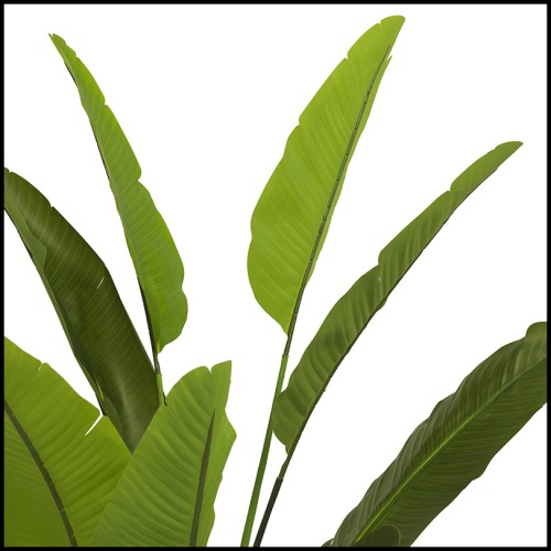 Plante artificielle 24 - Strelitzia - Plante artificielle en tons verts, avec pot en ciment - Pacific Compagnie.