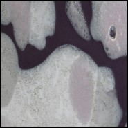 Vase 24 - Foxdale - Vase de décoration en verre pour un intérieur unique et personnel - Pacific Compagnie.