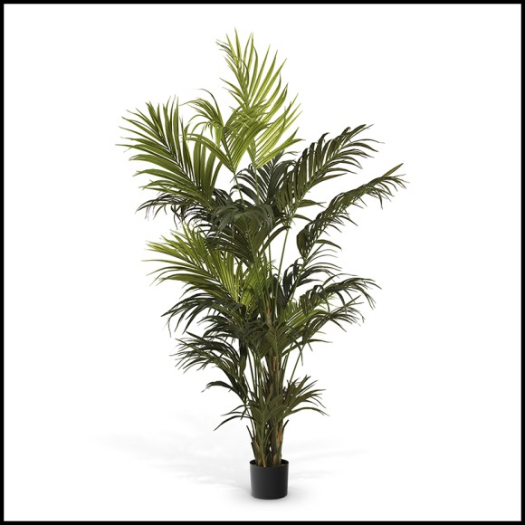 Plante artificielle 24 - Kentia Palm - Artificial kentia palm plant in green tones - Pacific Compagnie.