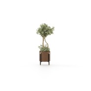 Pot de fleurs 174 - Rosie - Small Walnut Wooden Flower Pot - Pacific Compagnie.