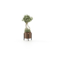 Pot de fleurs 174 - Rosie - Medium Sized Wooden Planter - Pacific Compagnie.