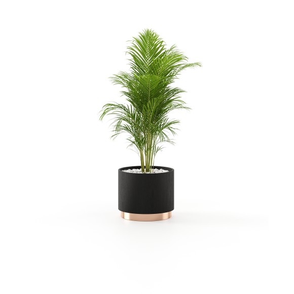 Pot de fleurs 174 - Gold - Walnut Matte Flower Pot - Pacific Compagnie.