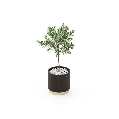 Pot de fleurs 174 - Gold - Pot de fleurs en bois de noyer mat, robuste et durable - Pacific Compagnie.