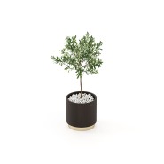Pot de fleurs 174 - Gold - Perfect Planter for Home or Office Decoration - Pacific Compagnie.