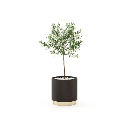 Pot de fleurs 174 - Gold - Versatile Planter for Various Plant Sizes - Pacific Compagnie.