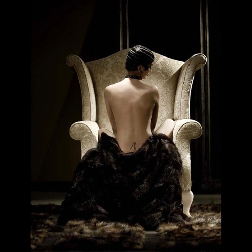 Armchair Ascension Latorre - Montgomery Country