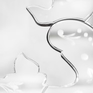 Miroir 145 - Venice - Large venetian mirror with high gloss varnish - Pacific Compagnie.