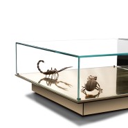 Table basse 145 - Metamorphosis - Modern black and gold coffee table with brass and glass components - Pacific Compagnie.