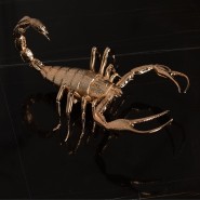 Table basse 145 - Metamorphosis - Large gold center table with marble and wooden details, perfect for living rooms - Pacific Com