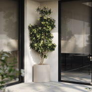 Pot 111 - Angular – modern recyclable planter, vibrant hues – Pacific Compagnie.