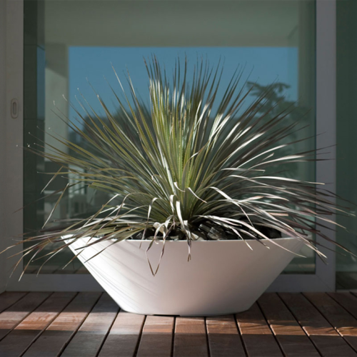 Pot 111 - Centro - Minimalist planter, perfect for succulents and herbs - Pacific Compagnie.