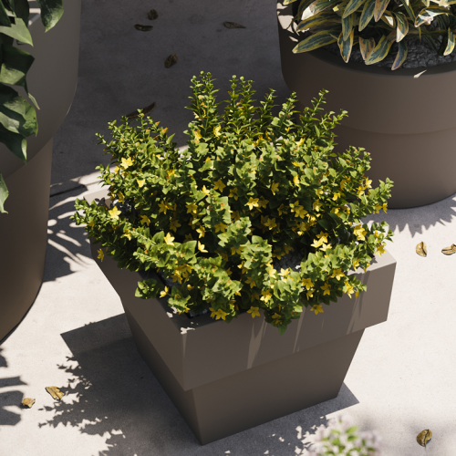 Pot 111 - Vaso Cuadrado - Modern square planter, eco‑friendly polyethylene - Pacific Compagnie.
