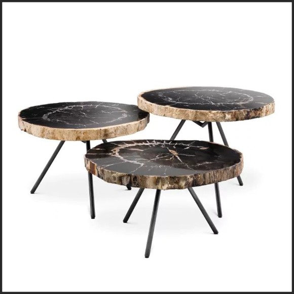 Table Basse 24- Petrified Dark Set of 3