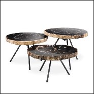 Table basse 24 - Petrified Clear | Coffee Table 24- Petrified Dark Set of 3 - Clear Petrified - Pacific Compagnie.