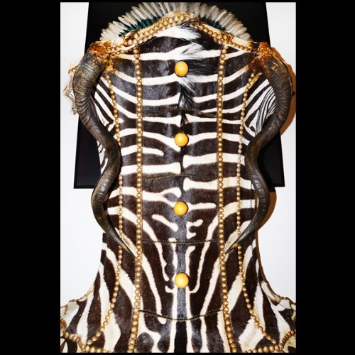 Chest of drawers Zebra Head