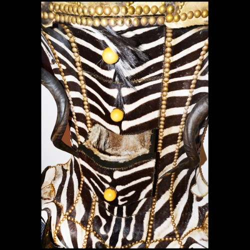 Chest of drawers Zebra Head