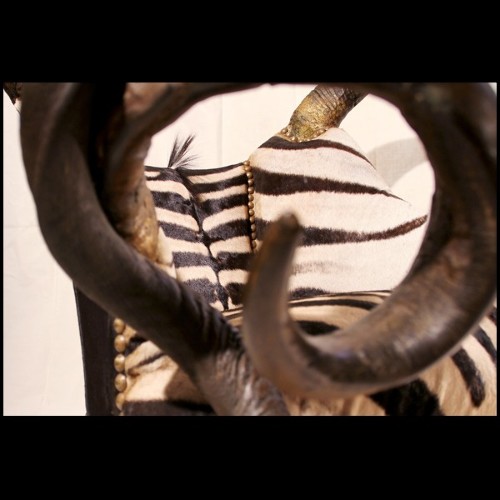Fauteuil 120 - Horns and Zebra - Naturel - Pacific Compagnie.