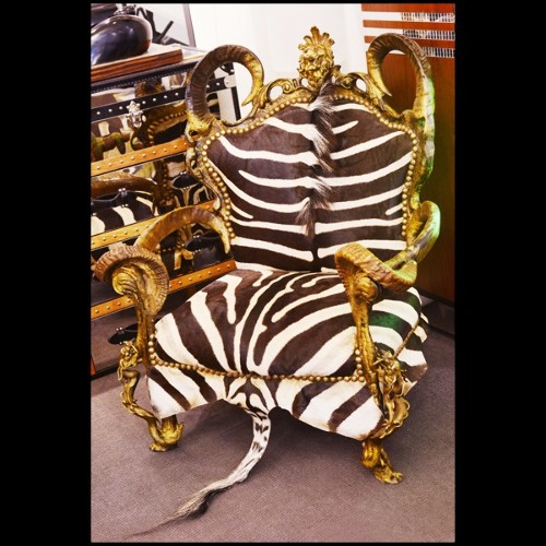 Fauteuil 120 - Zebra - Burchell zebra skin armchair with horns, luxury home decor - Pacific Compagnie.