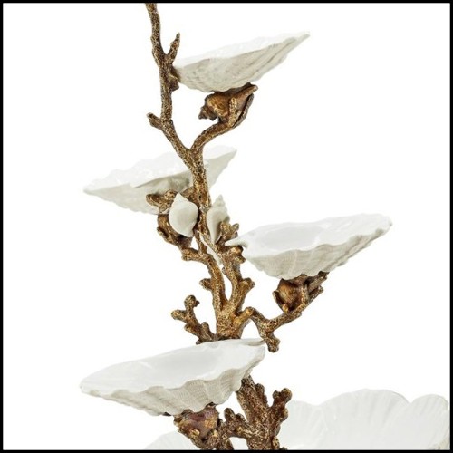 Coupe 162 - Shells - Motifs coquillages - Pacific Compagnie.