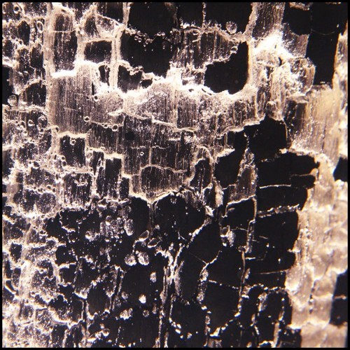 Side Table Burnt Trunk