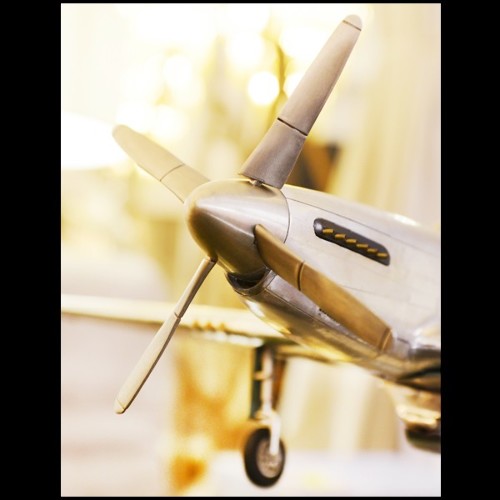 Maquette 113 - Mustang P51 - Finition argent - Pacific Compagnie.