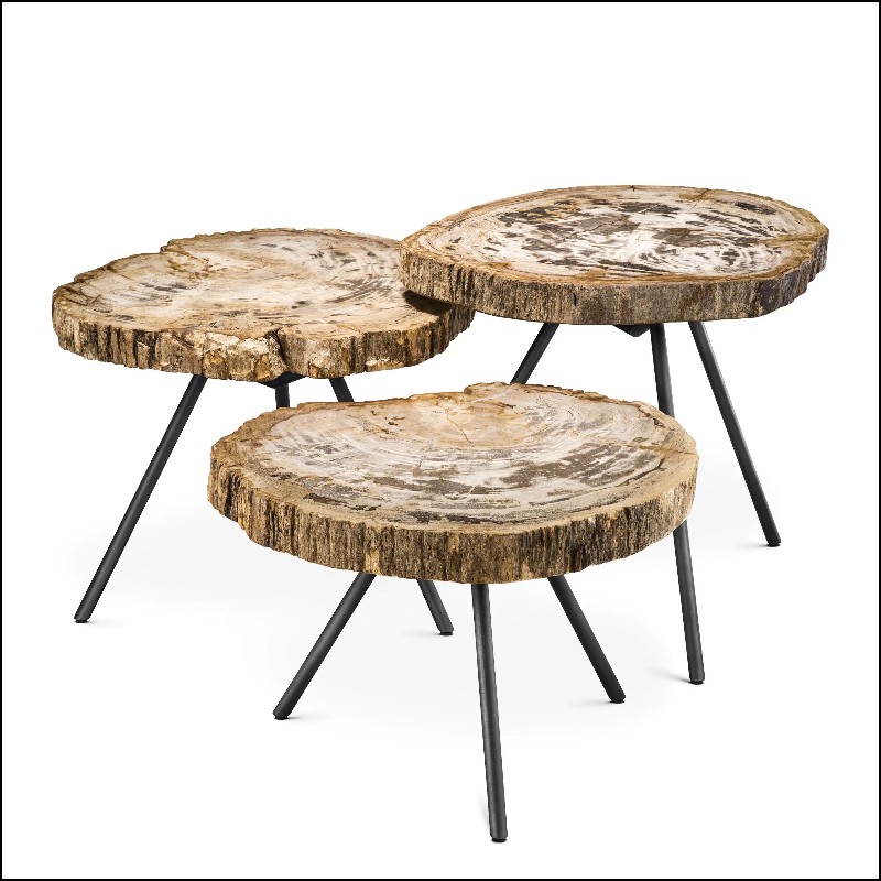 Table Basse 24- Petrified Clear Set of 3