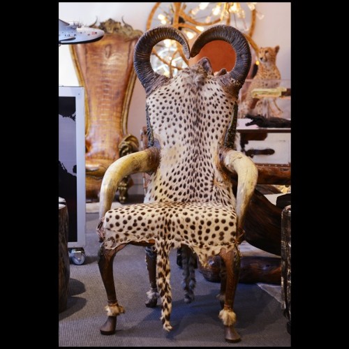 Fauteuil PC - Cheetah - Pièce rare - Pacific Compagnie.