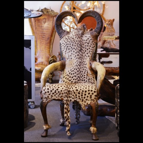 Armchair PC-Cheetah