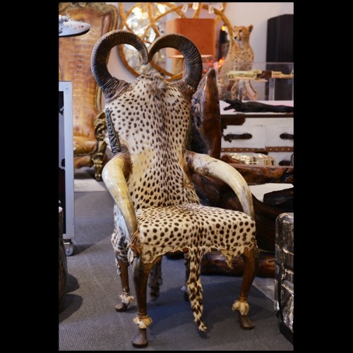 Fauteuil PC - Cheetah - Design unique - Pacific Compagnie.