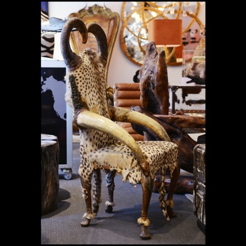 Fauteuil PC - Cheetah - Guépard véritable - Pacific Compagnie.