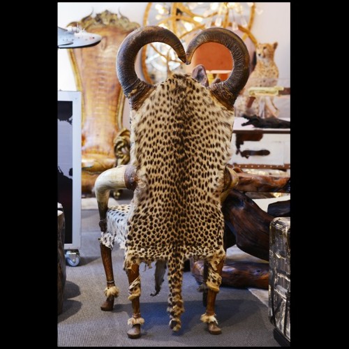 Fauteuil PC - Cheetah - Mobilier exotique - Pacific Compagnie.