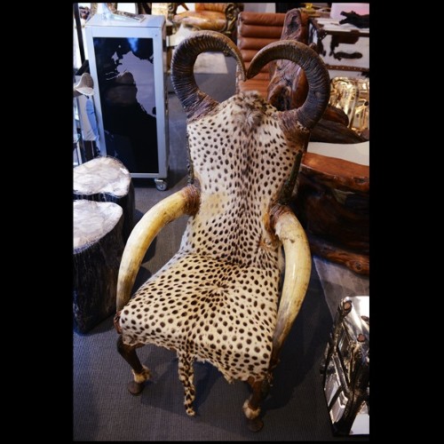 Fauteuil PC - Cheetah - Style safari - Pacific Compagnie.